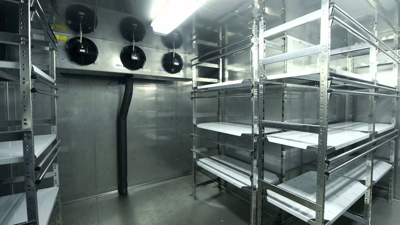 maxresdefault (1).jpg